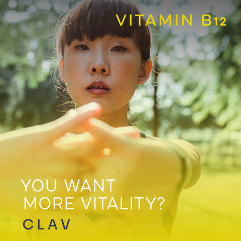 Vitamin B12 1000mcg Methylcobalamin Supplement