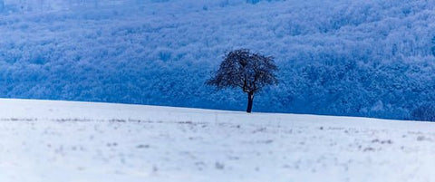Bye, bye Winterblues