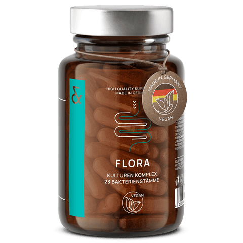Flora Bakterien Komplex für den Darm
