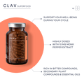 Vitex Berry Chasteberry Extract Supplement