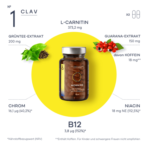 CLAV-1-Morning-DE-Infografik